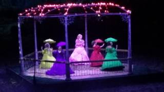 Southern Belles At Dolly Partons Dixie Stampede [upl. by Surtimed]