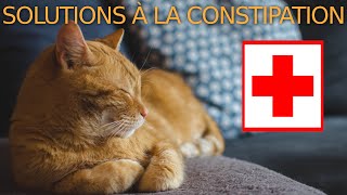 ⚕️🐈 Comment soigner un chat constipé 9 solutions sans ordonnance [upl. by Imelida]