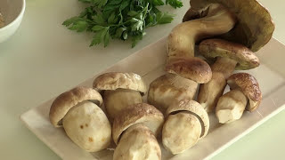 RISOTTO AI FUNGHI PORCINI  Video Ricetta  Grigio Chef [upl. by Subir313]