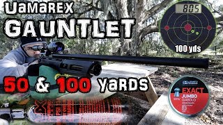 Umarex Gauntlet 22 Air Rifle  Accuracy TESTED  50 amp 100 Yard  FULL REVIEW  Regulated PCP Airgun [upl. by Boni]