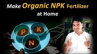 How to make organic NPK fertilizer at home [upl. by Vladamar]