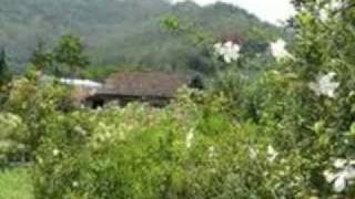 Bukit Berbunga  Uci Bing Slametmp4 [upl. by Harrie]