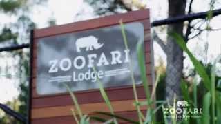 Zoofari Lodge [upl. by Hyozo]