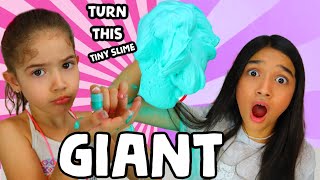 TURN THIS TINY SLIME INTO A GIANT SLIME CHALLENGE [upl. by Chak]