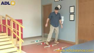 Gait Frames Dynamic Balance Exercise [upl. by Hplodur300]