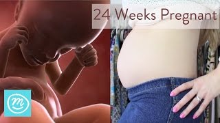 24 Weeks Pregnant What You Need To Know  Channel Mum [upl. by Jacie]