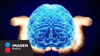 ¿Cuáles son las enfermedades más comunes que afectan al cerebro  Bien y Saludable [upl. by Hakym]