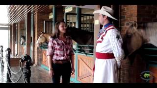 Inside look at Dixie Stampede in Pigeon Forge TN [upl. by Demp]