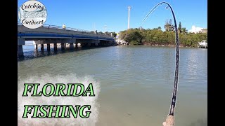 Florida Inshore Fishing Fort Myers amp Sanibel Island MultiSpecies [upl. by Hardwick537]