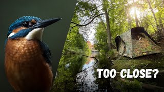 How I Took This Photo  BEHIND THE SCENES of Photographing Kingfishers [upl. by Lada]