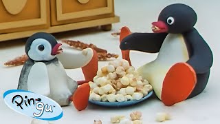 Pingu at Home 🐧  Pingu  Official Channel  Cartoons For Kids [upl. by Carine495]