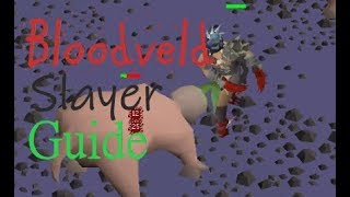 OSRS InDepth Ultimate Bloodveld Slayer Guide 2019 [upl. by Leipzig]