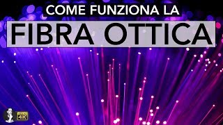 COME FUNZIONA LA FIBRA OTTICA [upl. by Hserus]