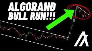 Algorand ALGO Crypto Coin Bull Run [upl. by Dubenko296]