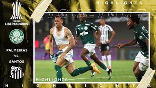 Palmeiras vs Santos  LIBERTADORES FINAL HIGHLIGHTS  1302021  beIN SPORTS USA [upl. by Anelaf]