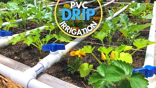 PVC Drip Irrigation System  EASY DIY [upl. by Gray]