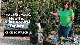 How To Prune A Spiral Topiary  Topiary Tour [upl. by Marlane]