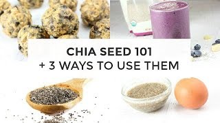 Chia Seed 101  3 Ways To Use Chia Seeds [upl. by Dowzall]