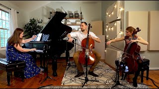 The Flower Duet from Lakmé  2 Cellos amp Piano [upl. by Irahc]