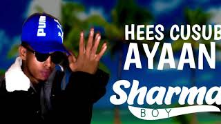 SHARMA BOY HEES CUSUB AYAAN OFFICIAL MUSIC [upl. by Peugia631]