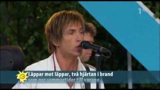 Per Gessle Sommartider Live Allsång på Skansen [upl. by Vivi53]