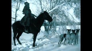 Russian Hunting Dog vs Wolf Borzoi Russian Wolfhound 1910 Documentary [upl. by Rosemare]