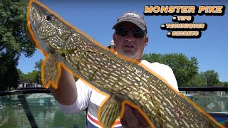 Summer Pike Fishing Tips [upl. by Atilol]