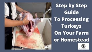 Turkey Processing  Step by Step How to Butcher A Pastured Turkey On Your Farm or Homestead [upl. by Ailegna]