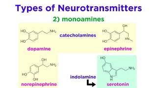 Neurotransmitters Type Structure and Function [upl. by Onfroi]