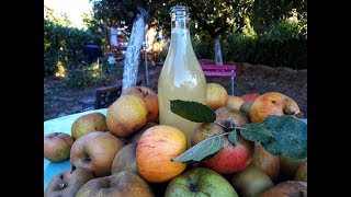 VINAIGRE DE CIDRE MAISON avec LES POMMES DE MON JARDIN [upl. by Ysus]