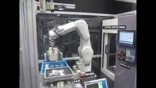 Mitsubishi Electric F Series Robot Machine Tending [upl. by Pilar693]