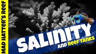 Salinity and Reef Tanks [upl. by Yddet]