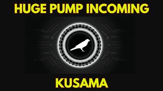 Why KUSAMA KSM will Skyrocket Soon [upl. by Frederigo321]