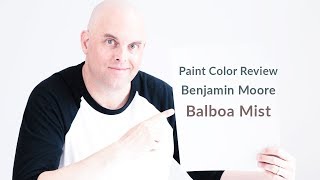 Benjamin Moore Balboa Mist Color Review [upl. by Adlaremse179]