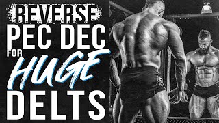 How to Reverse Pec Dec For HUGE round rear delts  Exercise Set up and Form with Hypertrophy Coach [upl. by Maribel]