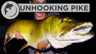 How To Handle and Unhook Pike [upl. by Madison]