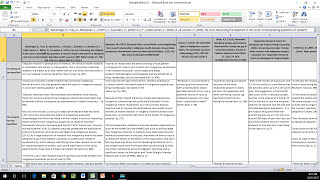 How to Create a Literature Matrix Excel [upl. by Atnwahs]