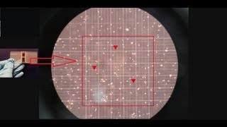 Hemocytometer  Counting of cells  Amrita University [upl. by Ligetti]