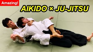 Amazing Mix Aikido and Jiujitsu  Shirakawa Ryuji shihan [upl. by Mya887]