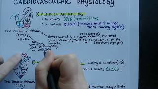 Cardiac Cycle  Cardiovascular Physiology [upl. by Sender]