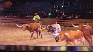 Dolly Partons Dixie Stampede [upl. by Ittak209]