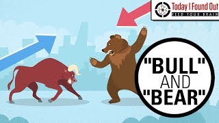 Why are Bull and Bear Markets Called That [upl. by Furmark381]