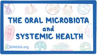 Microorganisms and Humans Commensal and Pathogenic Flora [upl. by Sipple]