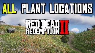 Red Dead Redemption 2  ALL 43 PLANTS amp HERBS LOCATIONS [upl. by Treiber]