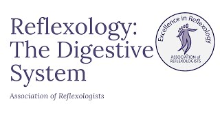 Reflexology The Digestive System [upl. by Keriann218]