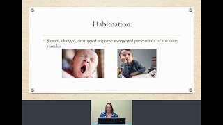 Habituation amp Dishabituation in developmental psychology  with Dr Z [upl. by Noni]