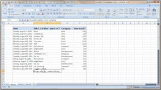 Entering and Formatting Data in Excel [upl. by Ellehsar730]