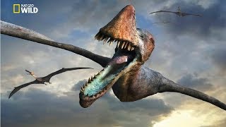 National Geographic  Flying Sky Monsters Pterosaur  New Documentary HD 2018 [upl. by Kred]