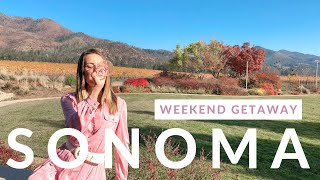 SONOMA CALIFORNIA WINE TASTING WEEKEND GETAWAY 2020 Travel Guide Best Wineries amp Airbnb Stay [upl. by Rediah181]