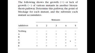 Biochem Pathway Analysis part 1 [upl. by Stacee]